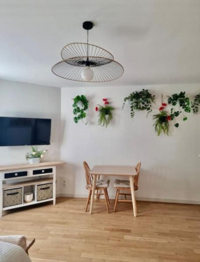 Studio le coquelicot